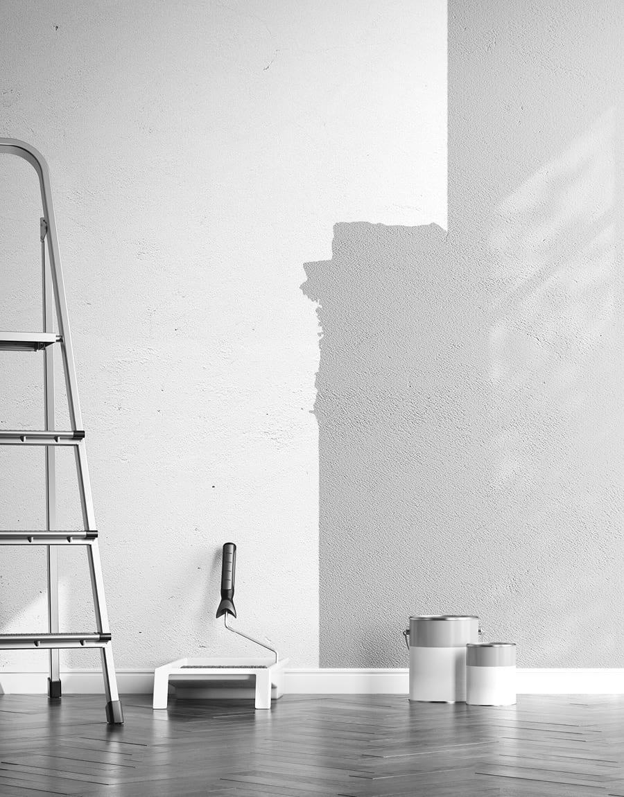 painting-decorating-cobwebs-exeter2